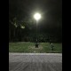 SL15 Solar 10W-18W LED Street Light (With Column) 