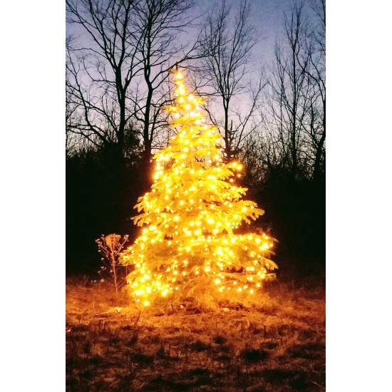 XP08 Solar LED Christmas / Fairy Light System