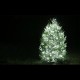 XP08 Solar LED Christmas / Fairy Light System