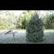 XP08 Solar LED Christmas / Fairy Light System