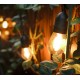 XP20 Solar LED Festoon Light System